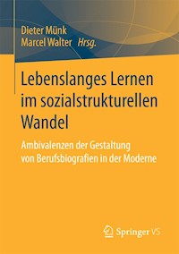 Lebenslanges Lernen im sozialstrukturellen Wandel - - E-Book
