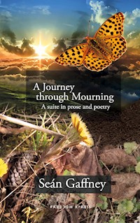 A Journey through Mourning - Seán Gaffney - E-Book
