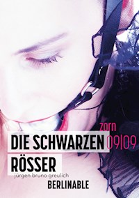 Die schwarzen Rösser - Folge 9 - Jürgen Bruno Greulich - E-Book