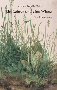 Ein Lehrer und eine Wiese - Antonia Isabelle Weisz - E-Book