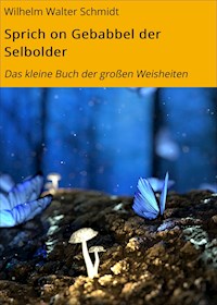 Sprich on Gebabbel der Selbolder - Wilhelm Walter Schmidt - E-Book