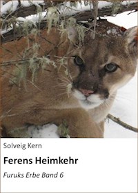 Ferens Heimkehr - Solveig Kern - E-Book