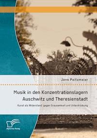 Musik in den Konzentrationslagern Auschwitz und Theresienstadt: Kunst als Widerstand gegen Grausamkeit und Unterdrückung - Jens Peitzmeier - E-Book