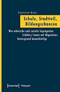 Schule, Stadtteil, Bildungschancen - Christine Baur - E-Book