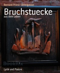Bruchstuecke - Bernard Priest-Untergasser - E-Book