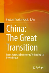 China: The Great Transition -  - E-Book