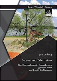 Pausen und Erholzeiten: Eine Untersuchung der Auswirkungen geistiger Arbeit am Beispiel des Managers - Jan Ludwig - E-Book