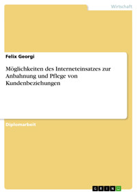 Möglichkeiten des Interneteinsatzes zur Anbahnung und Pflege von Kundenbeziehungen - Felix Georgi - E-Book