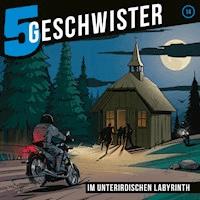 14: Im unterirdischen Labyrinth - Tobias Schier - Hörbuch