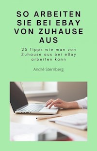 So arbeiten Sie bei eBay von zu Hause aus - Andre Sternberg - E-Book