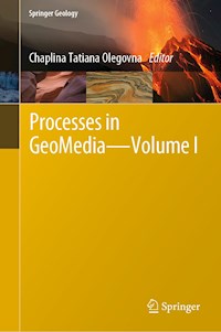 Processes in GeoMedia—Volume I -  - E-Book