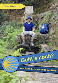 Geht's noch? - Tibor Haraszti - E-Book