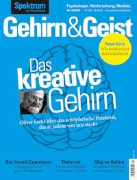 Gehirn&Geist 12/2017 - Das kreative Gehirn - - E-Book