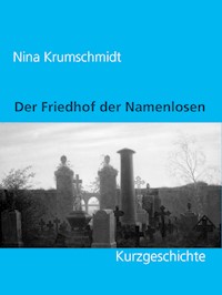 Der Friedhof der Namenlosen - Nina Krumschmidt - E-Book