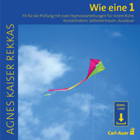 Wie eine Eins - Agnes Kaiser Rekkas - Hörbuch