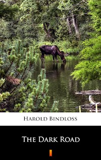 The Dark Road - Harold Bindloss - E-Book