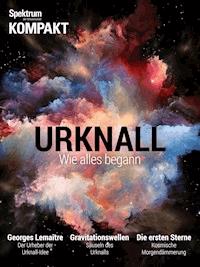 Spektrum - Kompakt - Urknall -  - E-Book