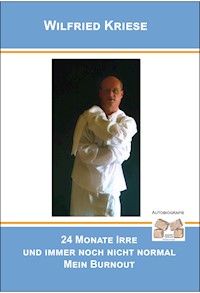 24 Monate Irre und immer noch nicht normal - Wilfried Kriese - E-Book