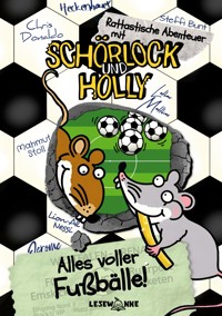 Alles voller Fußbälle! - Steffi Bunt - E-Book