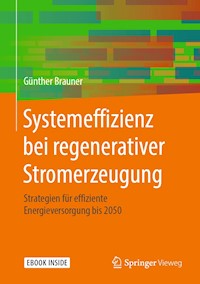 Systemeffizienz bei regenerativer Stromerzeugung - Günther Brauner - E-Book
