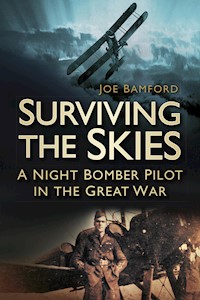 Surviving the Skies - Joe Bamford - E-Book