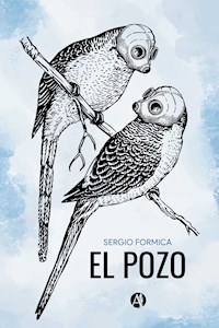 El Pozo - Sergio Formica - E-Book