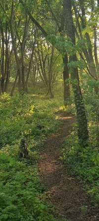 Anders Leben - Natascha Neumann - E-Book