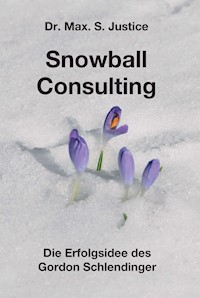Snowball Consulting - Dr. Max. S. Justice - E-Book