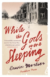 While the Gods Were Sleeping - Erwin Mortier - E-Book