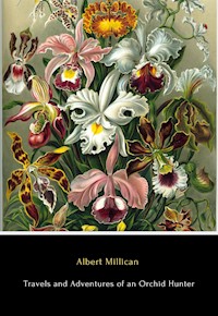 Travels and Adventures of an Orchid Hunter - Albert Millican - E-Book