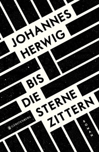 Bis die Sterne zittern - Johannes Herwig - E-Book
