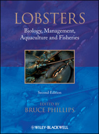 Lobsters - Bruce Phillips - E-Book