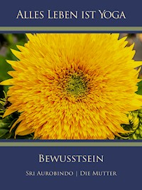 Bewusstsein - Die (d.i. Mira Alfassa) Mutter - E-Book
