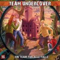 Team Undercover, Folge 16: Ein Team für alle Fälle - Dominik Ahrens - Hörbuch