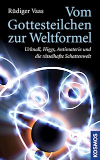 Vom Gottesteilchen zur Weltformel - Rüdiger Vaas - E-Book