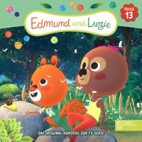 Folge 13 (Das Original-Hörspiel zur TV-Serie) - Jens Böttcher - Hörbuch