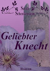 Geliebter Knecht - Sarah Schenkenstein - E-Book
