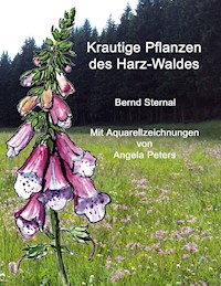 Krautige Pflanzen des Harz-Waldes - Bernd Sternal - E-Book