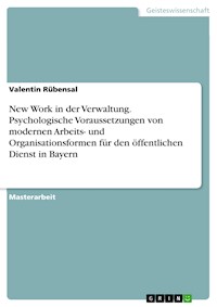 New Work in der Verwaltung. Psychologische Voraussetzungen von modernen Arbeits- und Organisationsformen für den öffentlichen Dienst in Bayern - Valentin Rübensal - E-Book