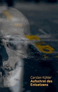 Aufschrei des Entsetzens - Carsten Kühler - E-Book