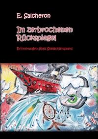 Im zerbrochenen Rückspiegel - E. Salcheron - E-Book