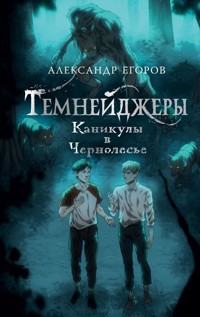 Темнейджеры. Каникулы в Чернолесье - Александр Егоров - E-Book