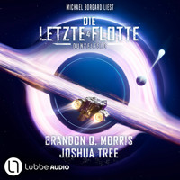 Dunkelfeld - Die Letzte Flotte, Teil 4 (Ungekürzt) - Brandon Q. Morris - Hörbuch