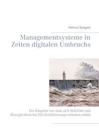Managementsysteme in Zeiten digitalen Umbruchs - Helmut Steigele - E-Book