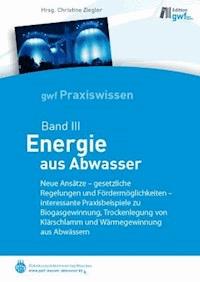 Energie aus Abwasser -  - E-Book