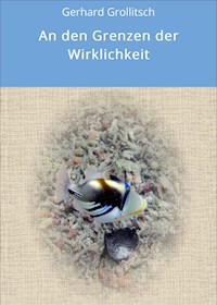 An den Grenzen der Wirklichkeit - Gerhard Grollitsch - E-Book