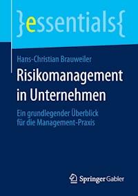 Risikomanagement in Unternehmen - Hans-Christian Brauweiler - E-Book