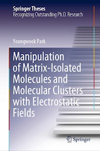 Manipulation of Matrix-Isolated Molecules and Molecular Clusters with Electrostatic Fields - Youngwook Park - E-Book