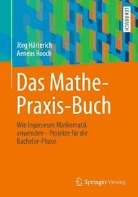 Das Mathe-Praxis-Buch - Jörg Härterich - E-Book