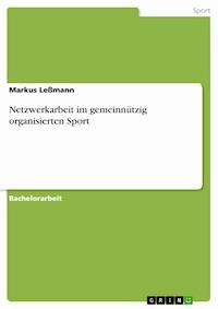 Netzwerkarbeit im gemeinnützig organisierten  Sport - Markus Leßmann - E-Book